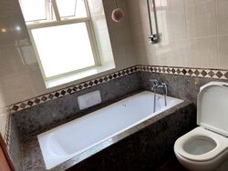 Tiara (D9), Condominium #503876811